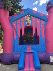 IMG 2785 1751746024 Pink Castle Bouncer